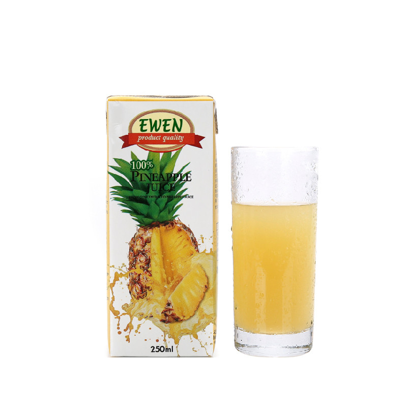 意文菠萝汁250ml*9