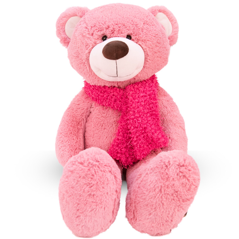 怡多贝EVTTO 正版美国大熊围巾熊大熊毛绒玩具布娃娃泰迪熊公仔女生礼物抱抱熊生日礼物毛毛熊1米 100cm 粉色围巾泰迪熊