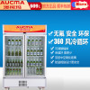 澳柯玛(AUCMA)609升双开门立式展示柜 超市保鲜冰箱商用冷藏冷柜 啤酒饮料柜 立式陈列柜冷藏柜SC-609
