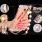 JSB 镜面水钻支架金属边框后背板珍珠链手机壳保护套 适用于乐视1pro/X800 玫瑰金-香水瓶-后盖镶钻+珍珠挂链