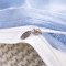 南极人(NanJiren)家纺 ins简约四件套单双人床单臻丝棉缎轻奢风被套1.8米网红款2.0m床上用品 兰朵 适用2.0m床-被套220×240cm