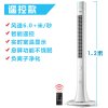 澳柯玛(AUCMA)塔扇FS-10MT303(Y)
