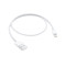 Apple ME291FE/A Lightning 至 USB 连接线 (0.5 米)