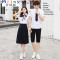 Mtiny日系校服夏季短袖衬衫JK制服学院风学生长裙水手服女毕业班服套装 S C112男短袖套装