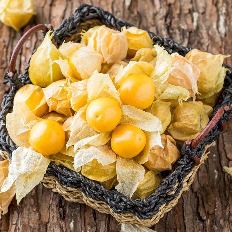 【苏宁生鲜】吉林长白山菇娘果500g 易果生鲜 易果生鲜国产水果【价格