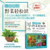 公园路边野菜轻松识：一眼认出食用野菜