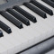 CASIO卡西欧CTK-2500/3500/1500成人儿童教学力度61键考级智能电子琴 CTK-2500+琴架+琴罩+耳机+接头+擦琴布=829