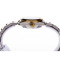 精工(SEIKO)手表 精工5号系列自动机械休闲女表 SYMG42J1 SYMG42J1