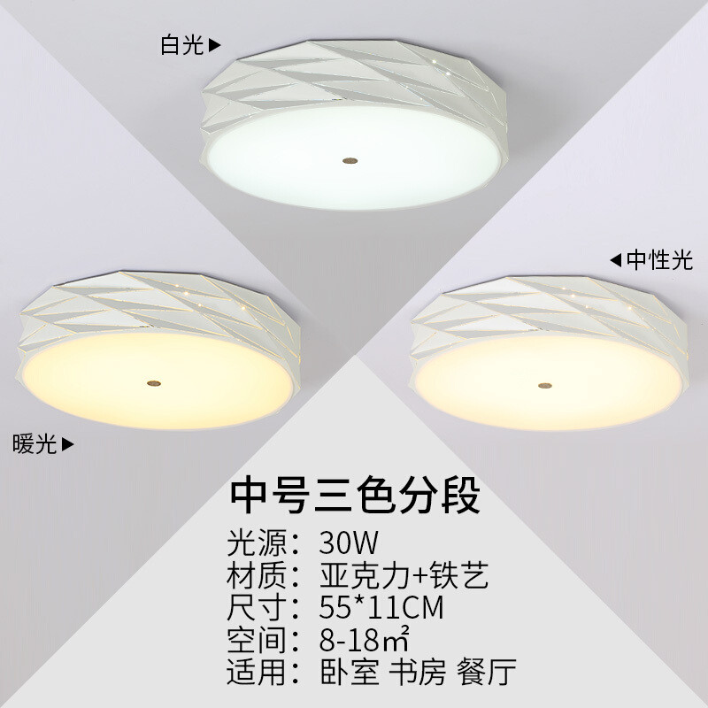 吸顶灯家用几何个性遥控房间灯节能韩式书房艺术顶灯圆形卧室灯 55CM-三色分段-30W