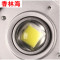 洋子（YangZi）LED工矿灯室内篮球场羽毛球馆乒乓球照明灯游泳馆体育馆专用吊灯_1 50W自然光(进口LED芯片)