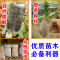 洋子（YangZi）无纺布花盆加厚育苗袋营养袋营养杯育苗杯营养钵植树袋定制_3 14x18(直径8.3x高13.8)五百个