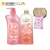 清扬去屑头皮净透洗发露 海藻菁萃型900g*2+100ml*2（香型随机）