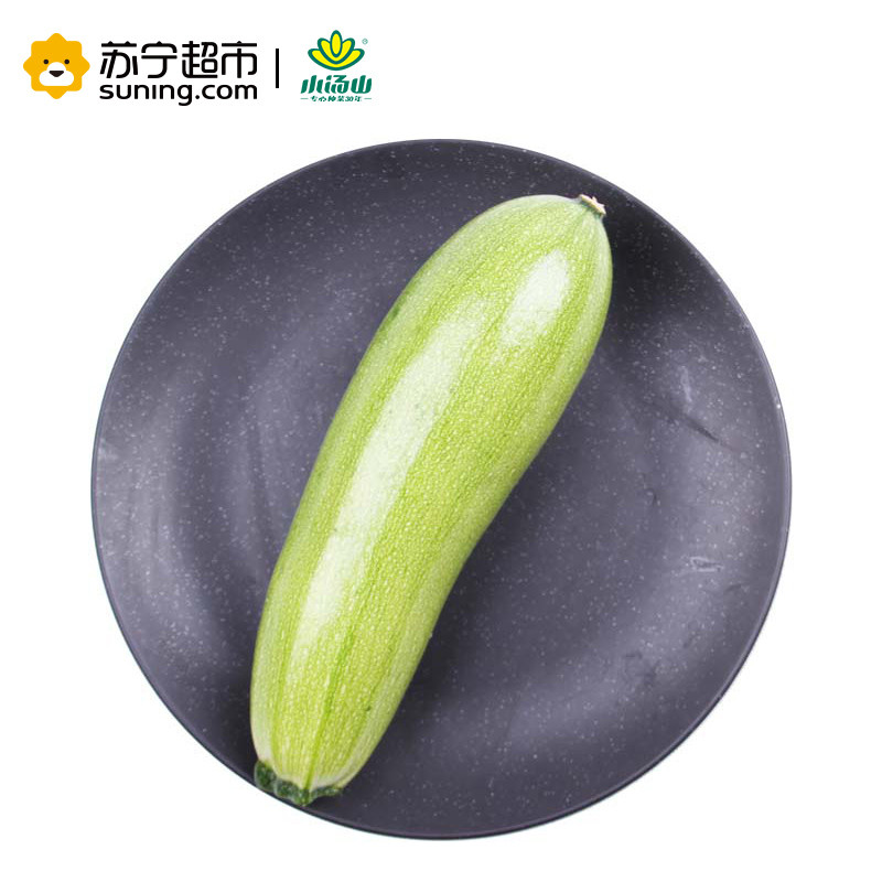 小汤山 西葫芦 约300g 新鲜蔬菜