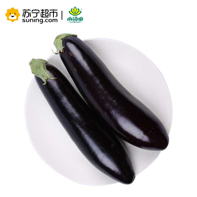 小汤山 长茄子 约400g 新鲜蔬菜