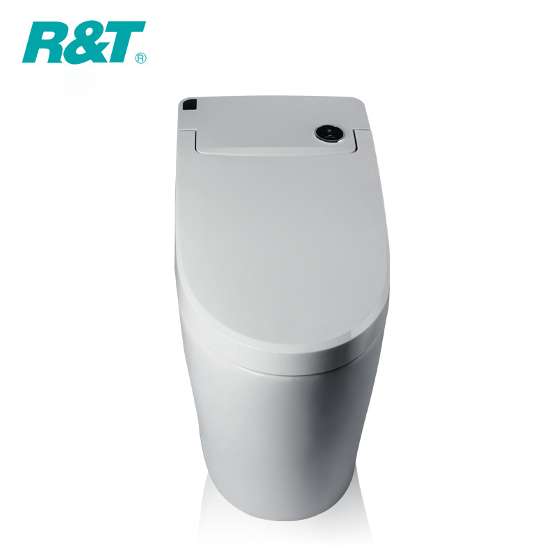 瑞尔特R&T 全自动冲水座便一体式智能马桶遥控电动即热智能坐便器V8700 300MM坑距 包送货安装