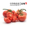 【中华特色】兰考馆越千山西红柿2.5kg 散装番茄 绿色蔬菜