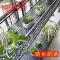 欧式阳台花架双层铁艺栏杆花架悬挂花架室外多层挂式多肉架_7 圆边双层50*25