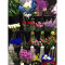 大号花店多层花架花店货架铁艺花架鲜花货架花店花桶展示架_8 一层两个两层单架子不含桶