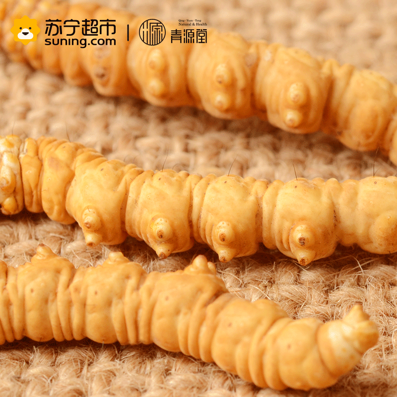 青源堂 冬虫夏草 0.7克/条 100条装70克 新鲜冬虫夏草正品 可泡酒泡水