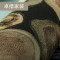复古个性年轮墙纸仿木纹木头木板树皮工业风壁纸酒吧饭店背景热卖_1 SAE1951