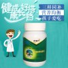 金奥力 钙铁锌咀嚼片 60片