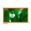 经科JK画框投影幕布投影机小边框N4-AT/W1透声幕白幕133寸16:9