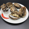 沈志雄 东山岛海鲜鲜活速冻鲍鱼 8-10颗 /500g
