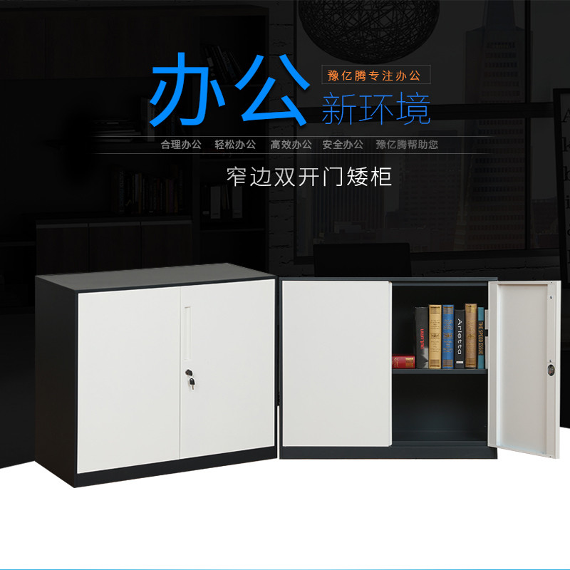 豫亿腾窄边套色钢制加厚办公文件柜铁皮柜财务凭证资料柜档案柜玻璃储物书柜带锁抽屉可定制窄边双开门矮柜 0.8mm窄边双开门矮柜
