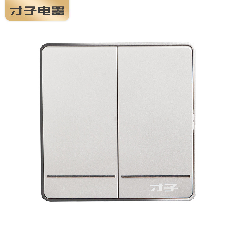 才子电器K20太空银墙壁家用电源86型暗装安全开关插座面板套餐ml-2/3 86型 二开双控开关