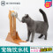 永德吉嗨皮猫宠物/猫咪饮水架饮水机猫饮水器狗狗喝水宠物用品猫水壶 默认颜色
