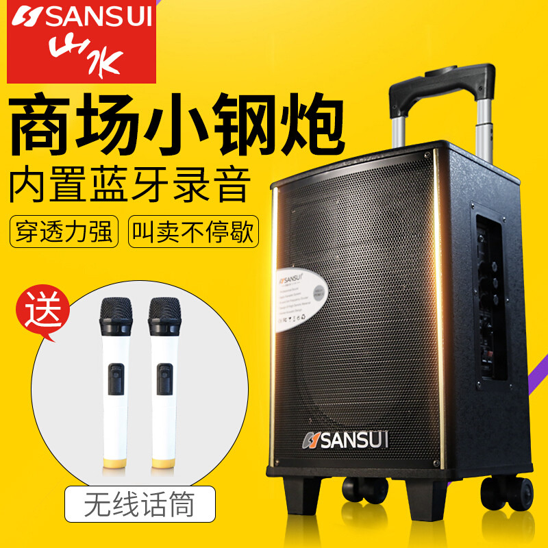 山水（SANSUI）SA1-10户外拉杆广场舞音响蓝牙U盘便携音响10吋手提音箱+双话筒