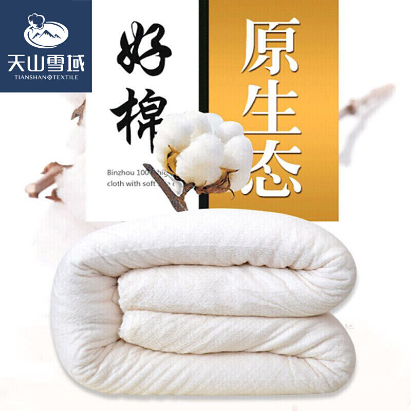 天山雪域 被子 有网棉被新疆棉花被芯棉絮棉胎2-12斤 有网棉花被7斤 150*200cm单人盖被