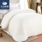 天山雪域 新疆棉花被无网棉被4-6-8斤常规尺寸 2.0*2.3m 无网8斤