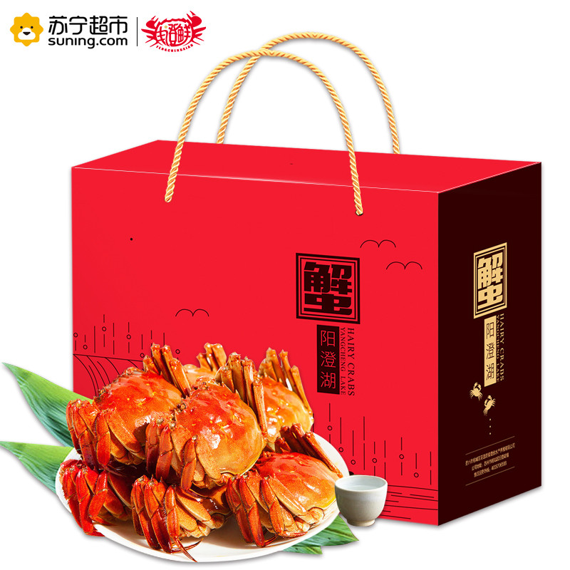 【现 货】丰澄鲜1788型公蟹3.5两/5只 母蟹2.5两/5只 螃蟹礼盒 活蟹 生鲜