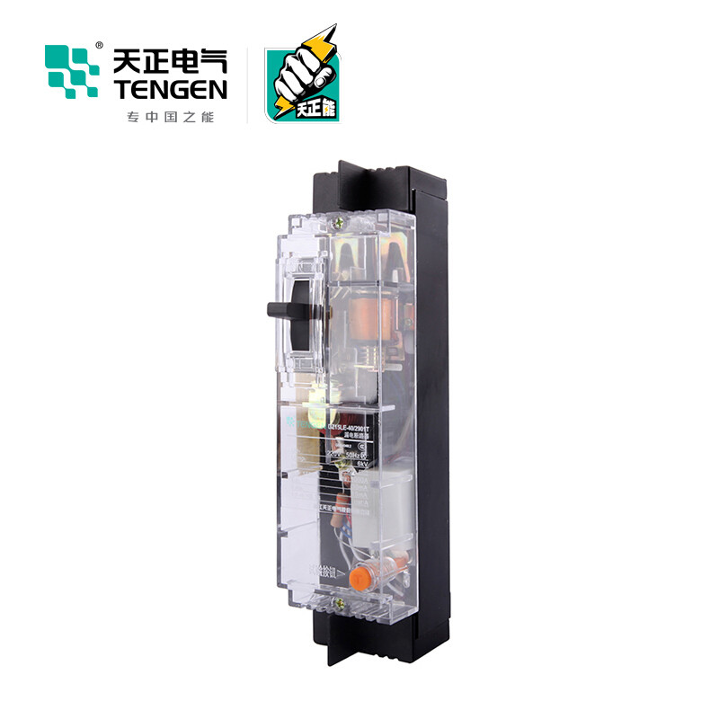 天正电气 DZ15LE-40 3KA热磁式41A 2P 手动固定式 220V 01020010262 塑壳漏电保护断路器