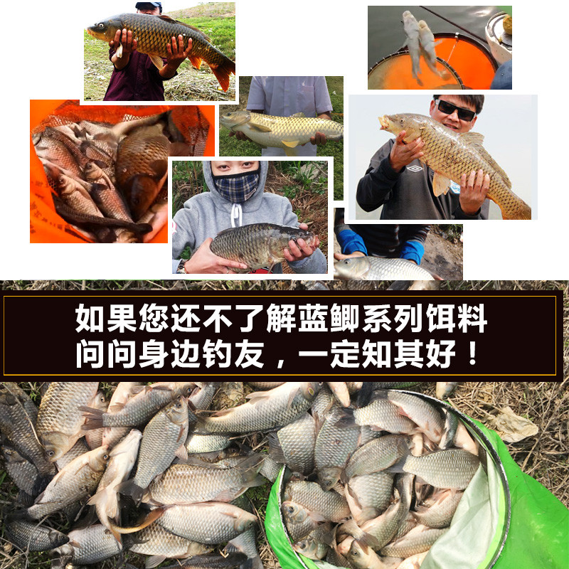 龙王恨蓝鲫夏秋季鲫鱼鲤鱼钓鱼饵料拉丝粉小药大蓝鲫野钓配方 野战蓝鲫X5300g（腥香）通杀型