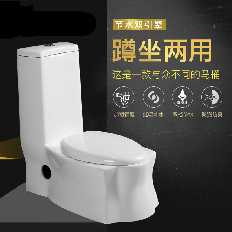 家用抽水马桶防臭坐便器蹲坐一体两用马桶节水双用坐厕坑距300密封盖板305mm_9 坑距300搭配支架 默认尺寸