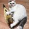 猫玩具猫薄荷鱼抱枕宠物玩具逗猫玩具猫咪用品（送猫薄荷球）_1_0 红鱼中号40CM