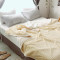 宜米家居 珊瑚绒毛毯被子加厚空调毯法莱绒毯子办公室午睡毯 单双人薄款 2.2*2.4m 松鼠灰