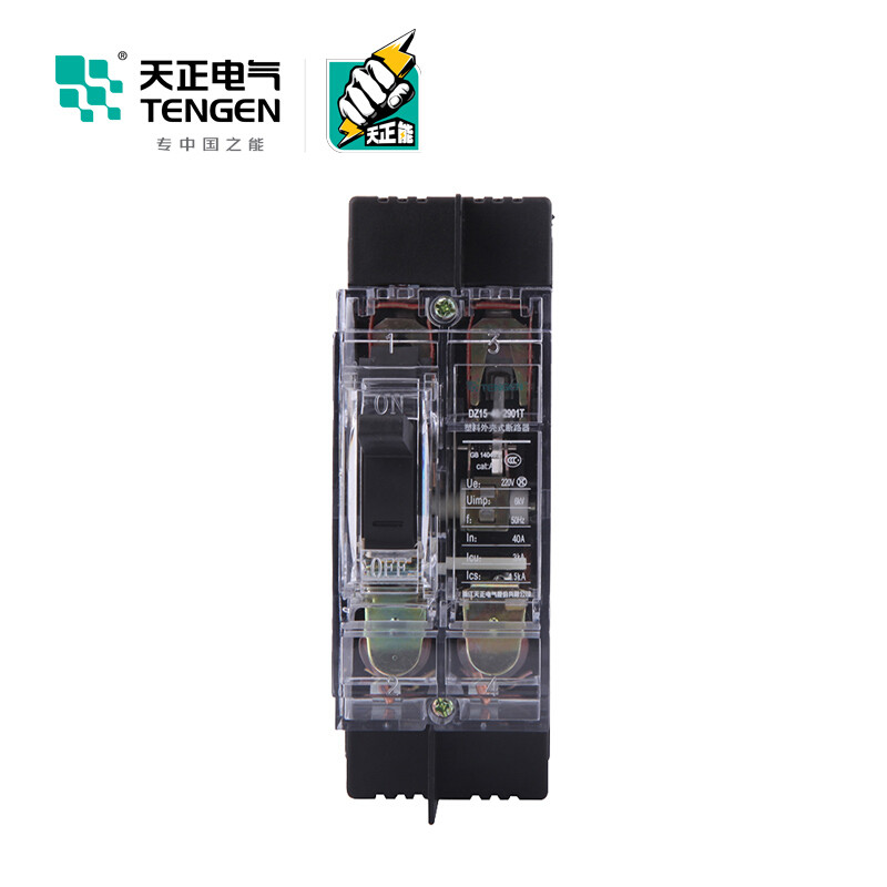 天正电气 DZ15-100 5KA电磁式63A 2P手动固定式220/380VAC 01040030080塑壳断路器