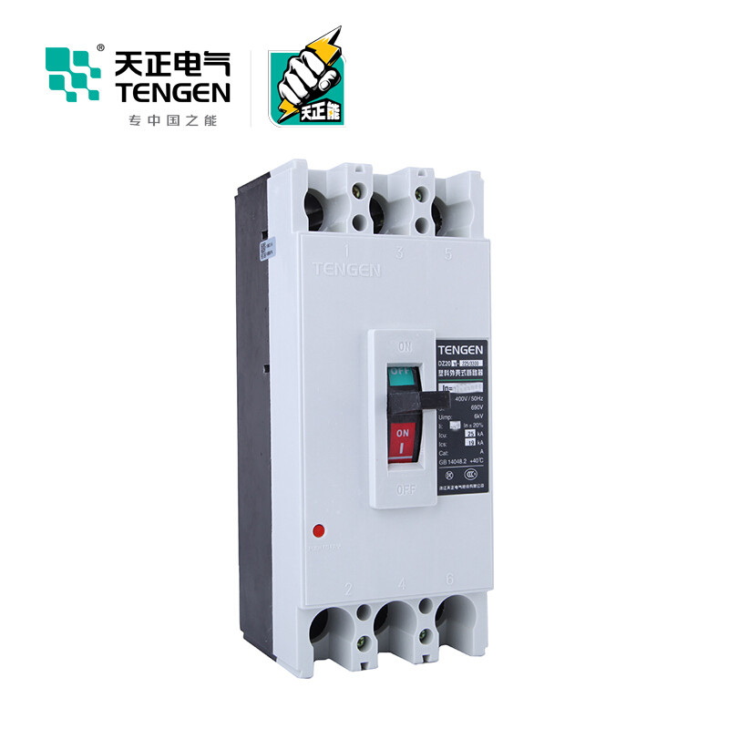 天正电气 DZ20Y-100 18KA 热磁式 63A 3P 手动 固定式400VAC 01040040604塑壳断路器