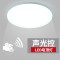 LED雷达吸顶灯LED声光控工程家用过道走廊楼梯楼道声控人体感应灯 声光全白34CM18W