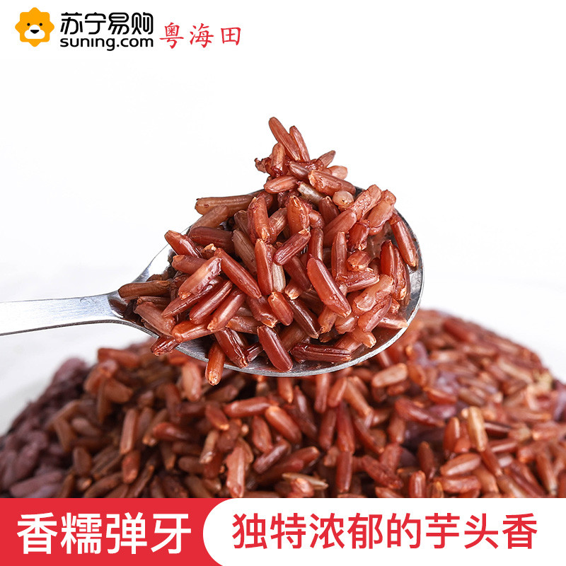 粤海田 海红香米 海水稻 大米红米 6斤礼盒装