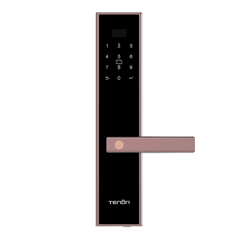 亚太天能（TENON）微信智能指纹锁锌合金家用指纹密码锁电子门锁E2w 暗金芒 （标准版）适配ios;Android