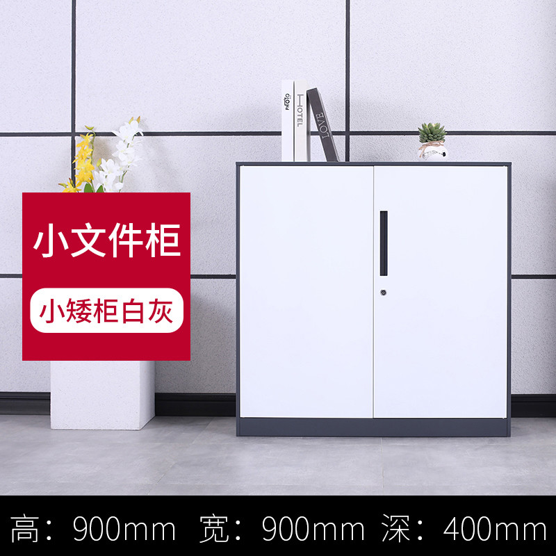 兮木铁皮柜档案柜资料柜书柜凭证柜储物柜矮柜带锁隔断柜办公室文件柜 灰白小文件