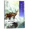 深谷里的羚羊/椋鸠十动物小说爱藏本05