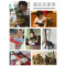 ?超大号仿真软胶恐龙玩具霸王龙模型套装儿童动物3-6岁男孩玩具_1 超大号【棘背龙】带叫声颜色随机