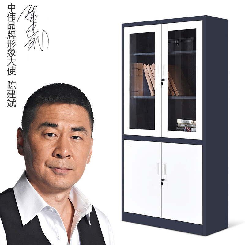 中伟文件柜拆装办公柜钢制铁皮柜资料柜档案柜储物柜大器械文件柜 加厚款 大器加厚款