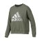 ADIDAS阿迪达斯新款女子上衣卫衣长袖休闲运动圆领套头衫DX7200 S DX7200