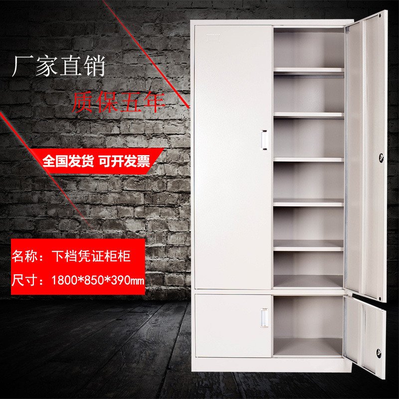 南京加厚文件柜铁皮柜钢制凭证柜资料柜员工更衣柜玻璃书柜档案柜_733_751 下档凭证柜_0.7mm